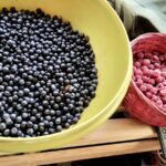 Two bowls of freshly-picked blueberries and raspberries.