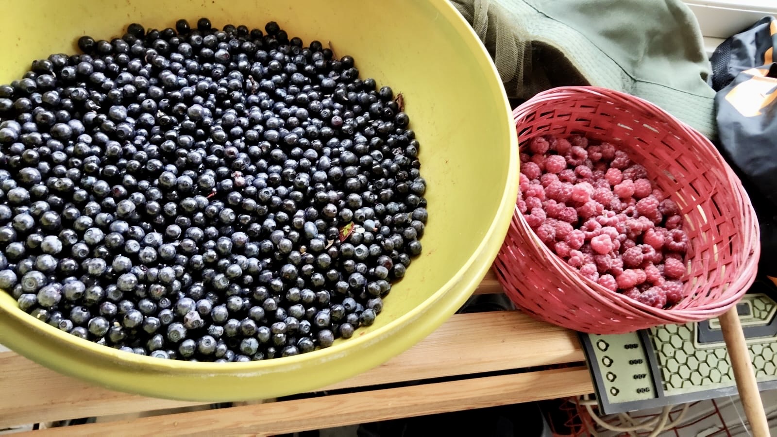 Two bowls of freshly-picked blueberries and raspberries.
