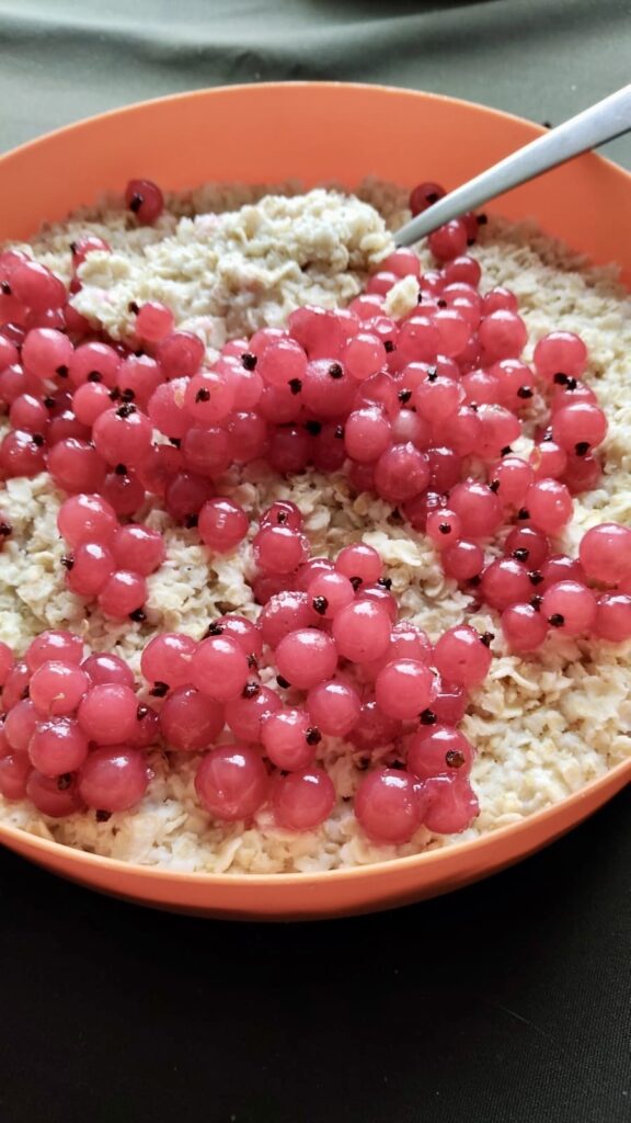 A bowl of porridge topped with fresh currants.