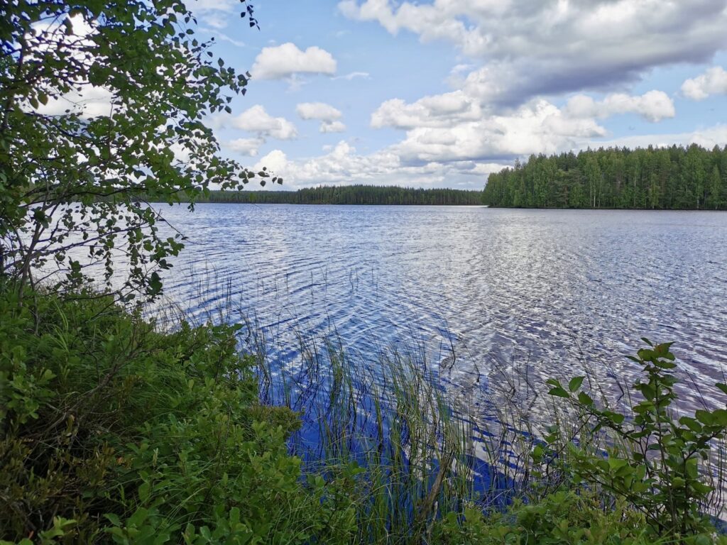 A view of the lake.
