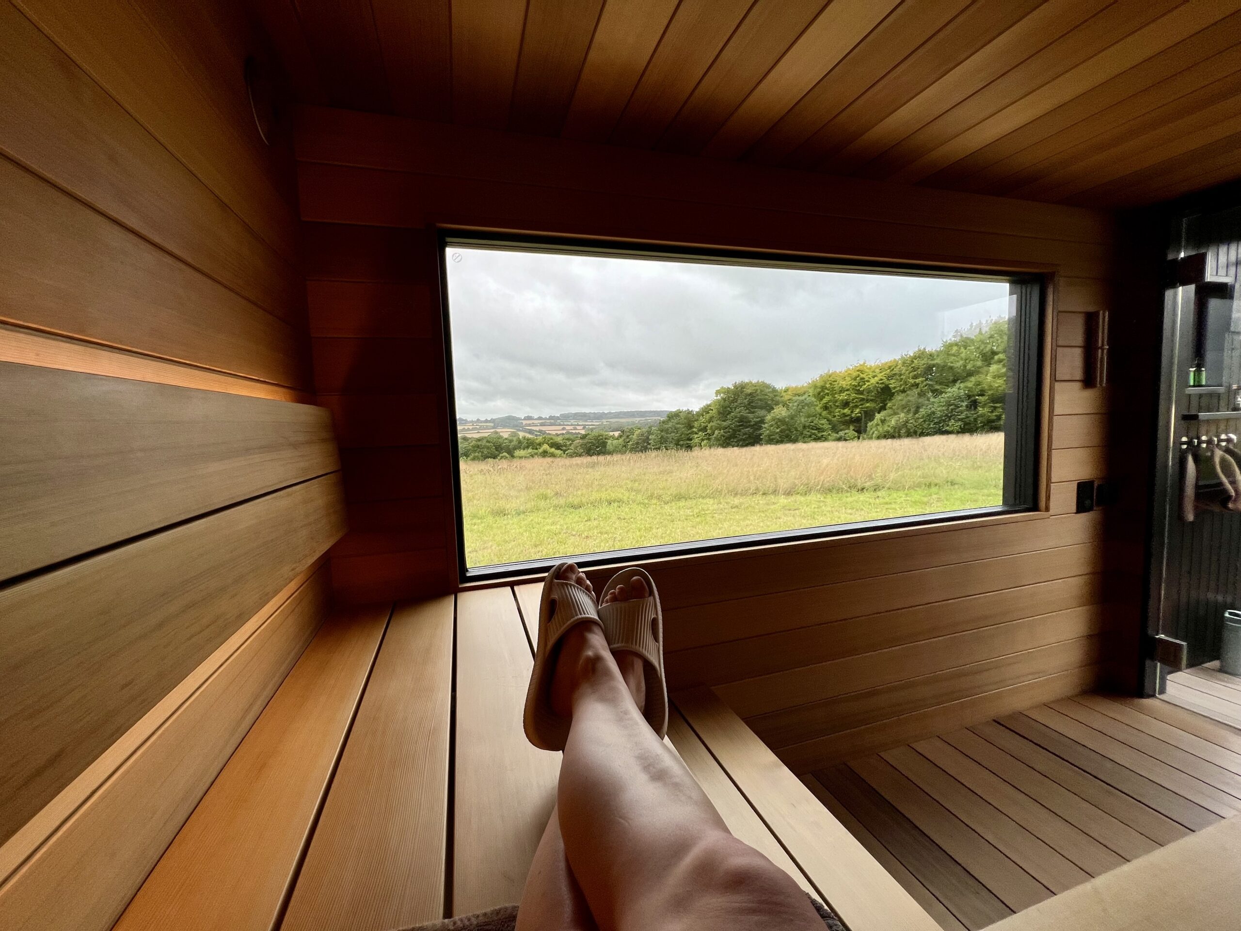 Inside the Finnish sauna, with the picture window showing the outdoor field and trees in the distance.